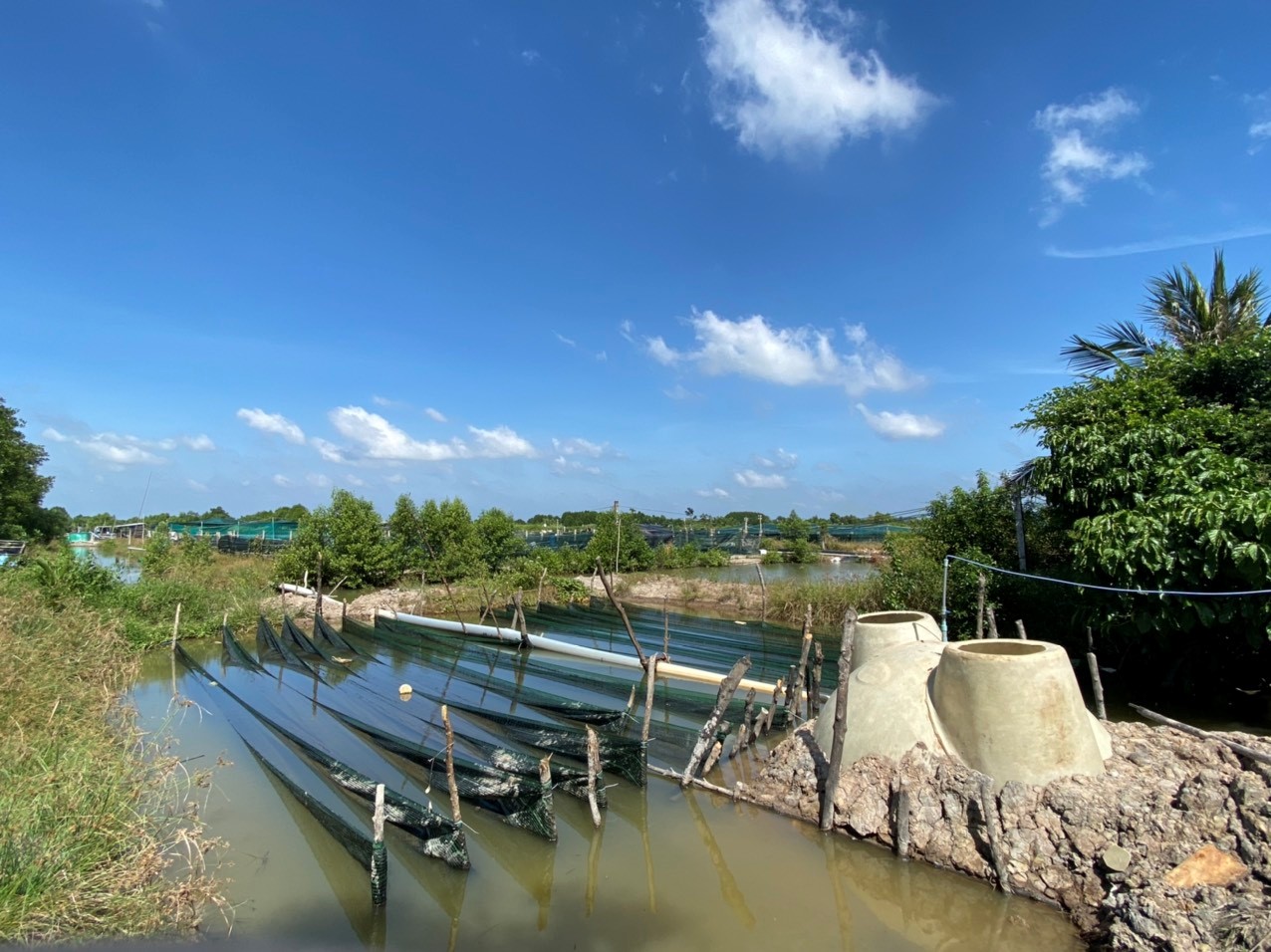 Nghiệm thu kết quả thực hiện nhiệm vụ khoa học và công nghệ thuộc Chương trình Tây Nam Bộ